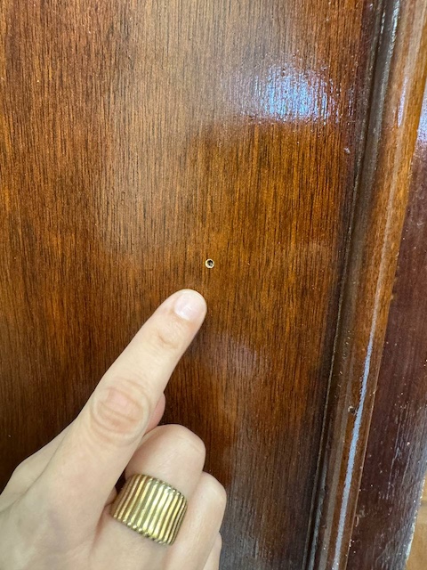 Agujeros de la carcoma