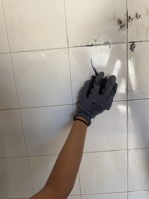 Liampiamos azulejos con lija