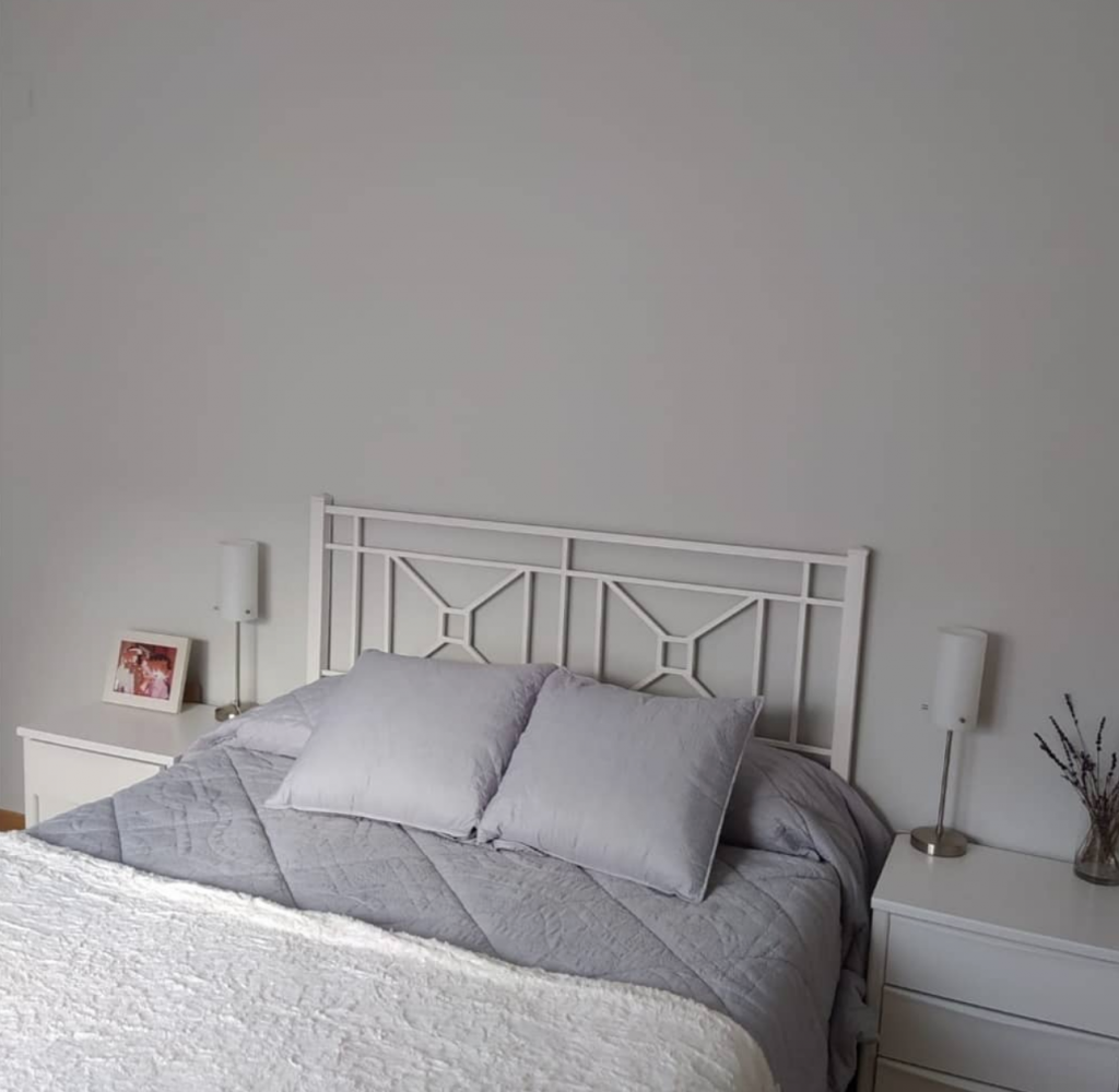 ¿Cómo elegir la pintura correcta? 14 Captura de pantalla 2021 11 09 a las 19.30.32