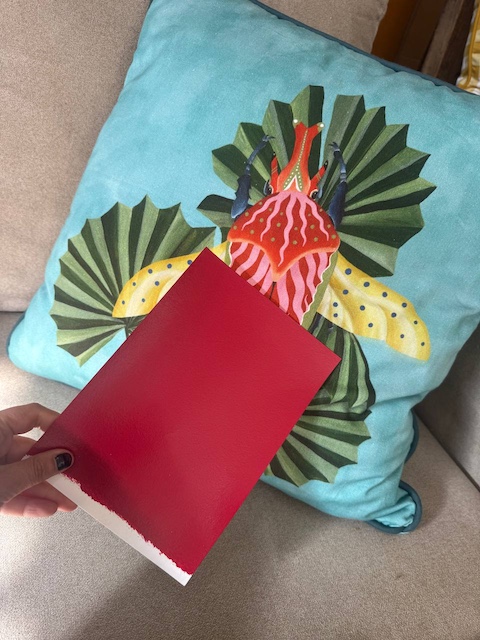 Cojín Beetle azul y muestra roja