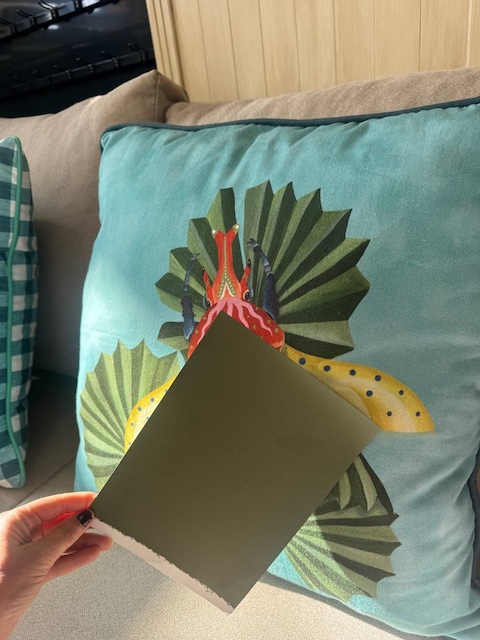 Cojín Beetle azul y muestra verde