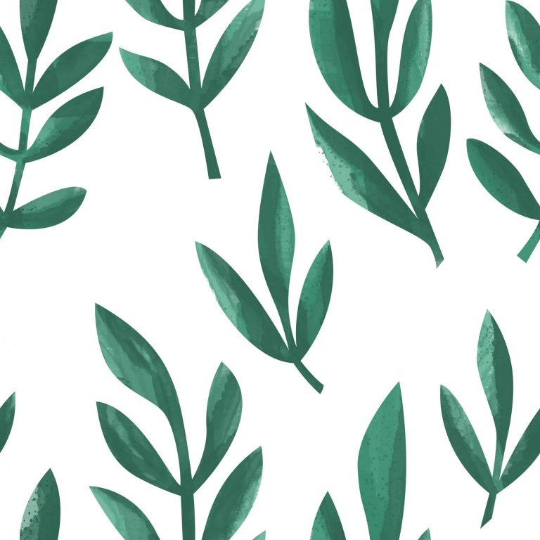 De Tiza Laurel scaled e1660049236567