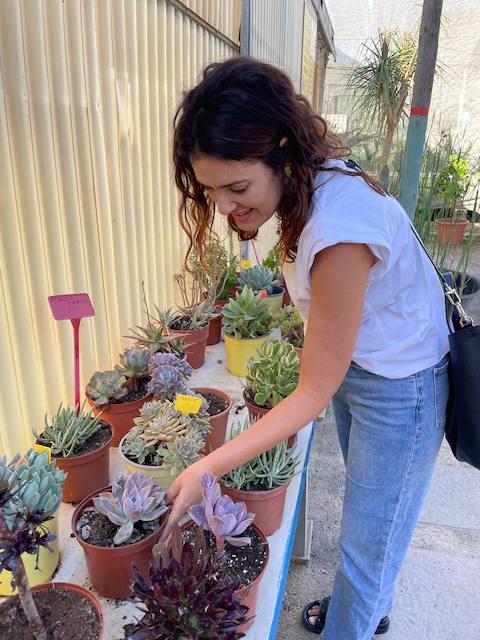 Ideas para pintar macetas de terracota con estilo 3 Gema comprando las plantas para las macetas de terracota