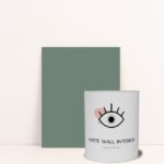 Pintura Pared Matte Wall Interior - Humo Verde