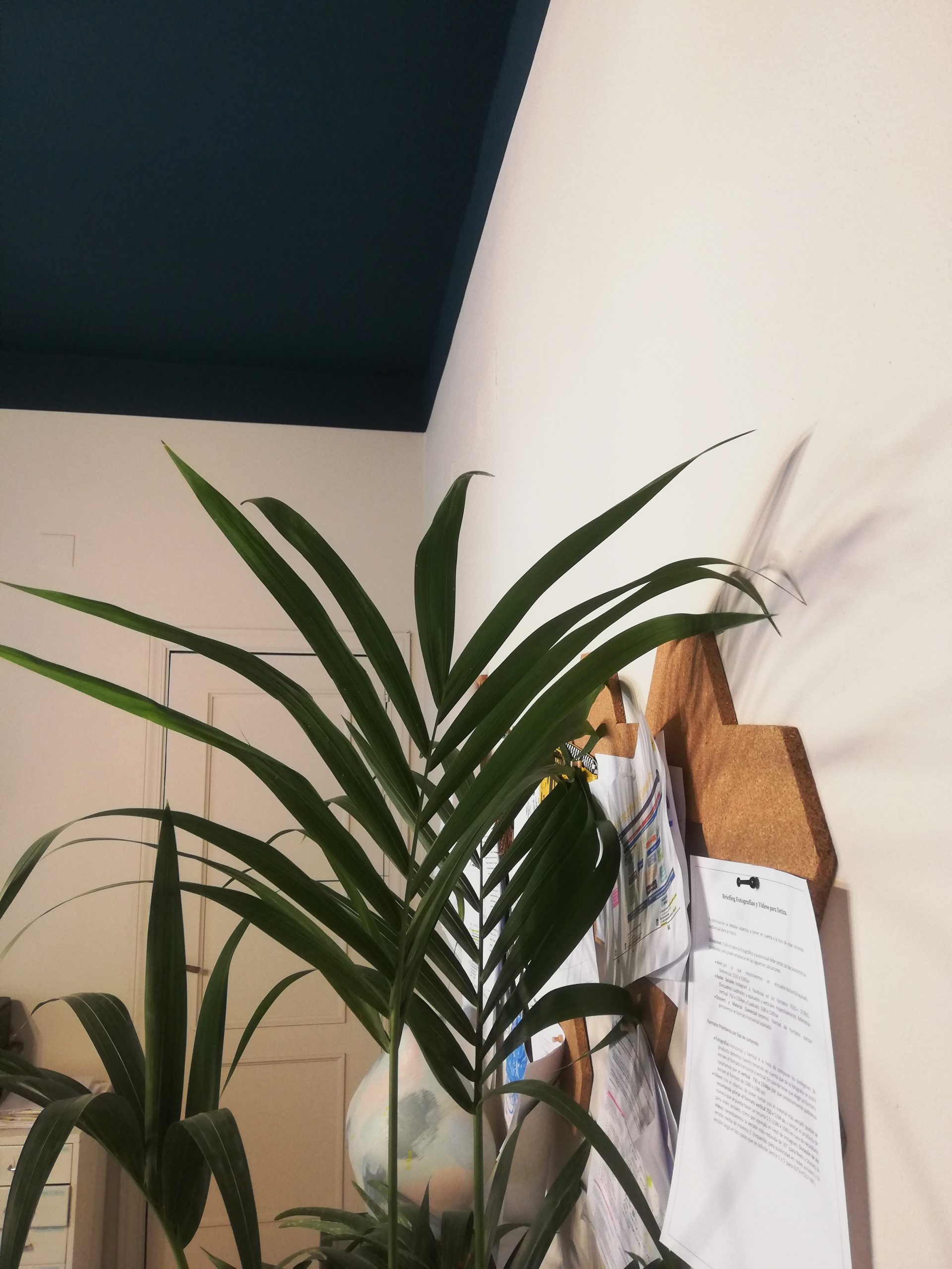 REFORMA SIN OBRA III 14 IMG 20210701 141025 scaled