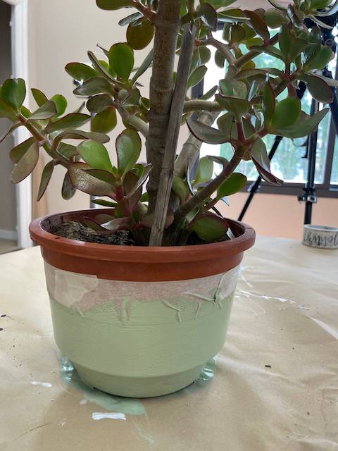 Maceta pintada a la mitad en verde