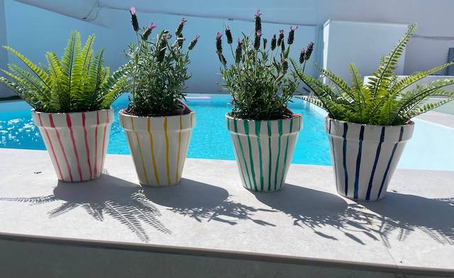 Ideas para pintar macetas de terracota con estilo 19 Plantas de exterior en macetas de terracota pintadas a mano