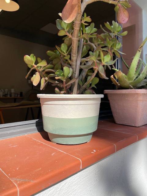 Macetero pintado con textura