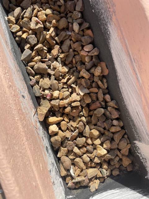 Macetero pintado con piedras