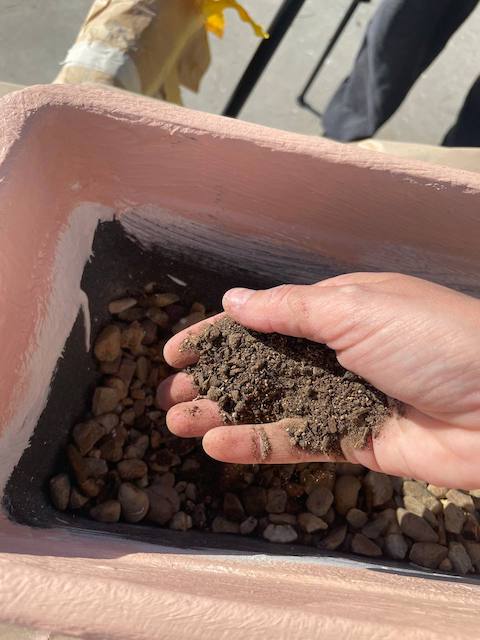 Echamos tierra encima de las piedras de la maceta