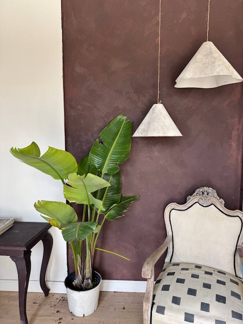 Pared con masilla de texturas en color Merlot