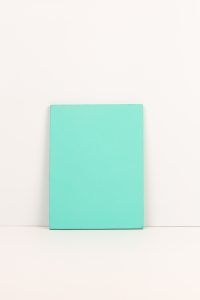 LA LUZ ES COLOR 28 Menta