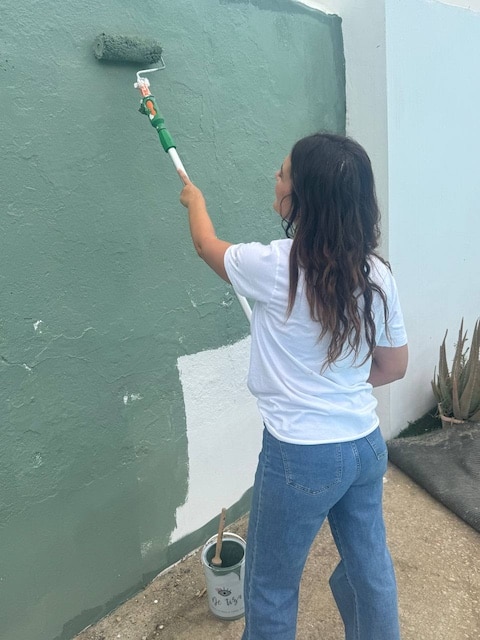 Matte Wall: pintura para paredes y techos