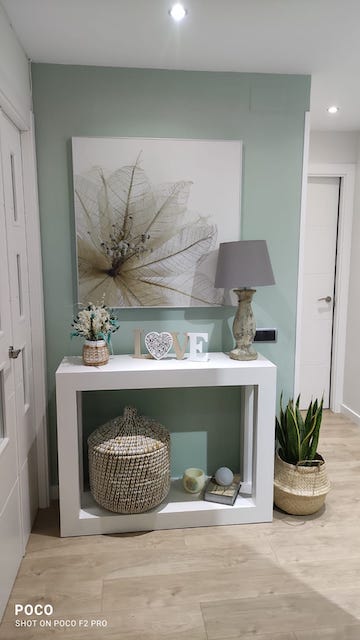 Color De Tiza 2022 20 Pared matte wall verde macilla