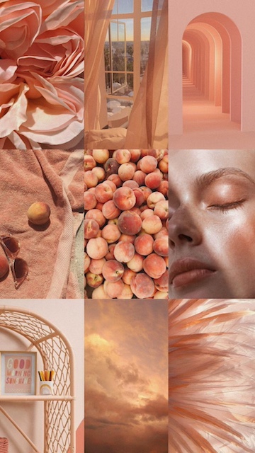 Colores de pintura en tendencia 2024 14 Color del año 2024: Peach Fuzz