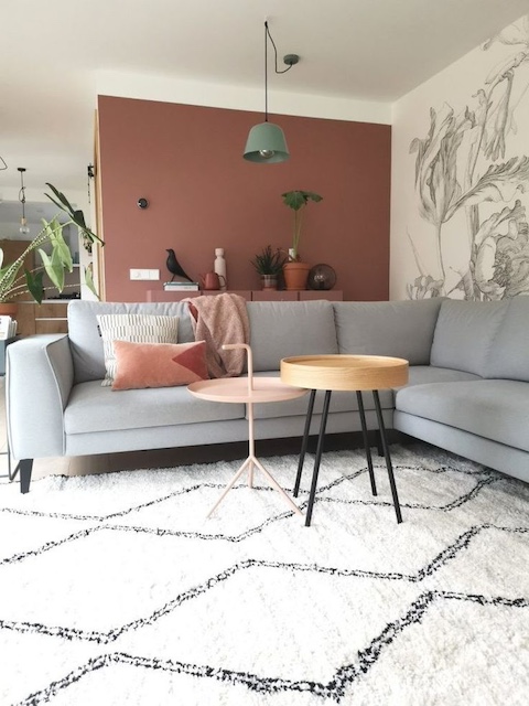 Salon rojo calabaza 2