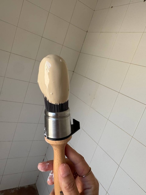 Matte Wall color oliva en brocha