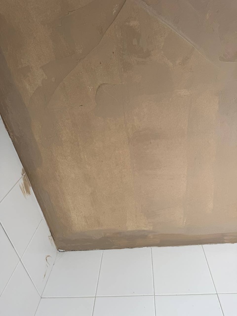 Techo pintado con una capa de pintura