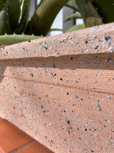 Rosa Greta y efecto granito