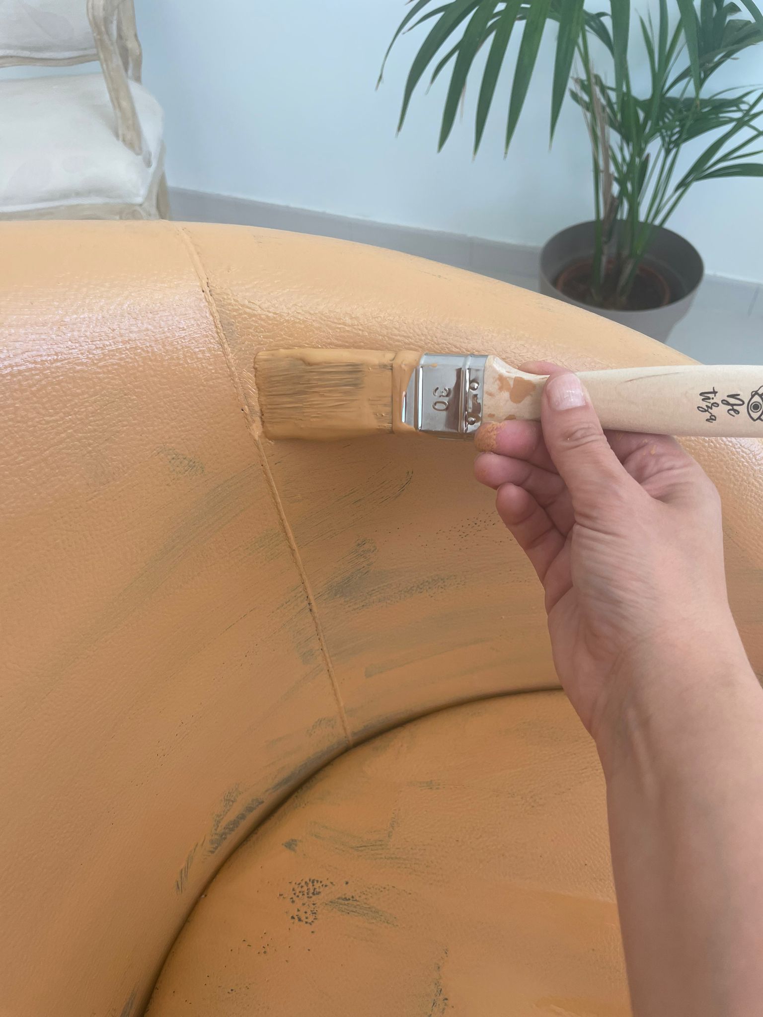 Simular efecto cuero con pintura 8 WhatsApp Image 2022 04 27 at 12.39.07 PM 1