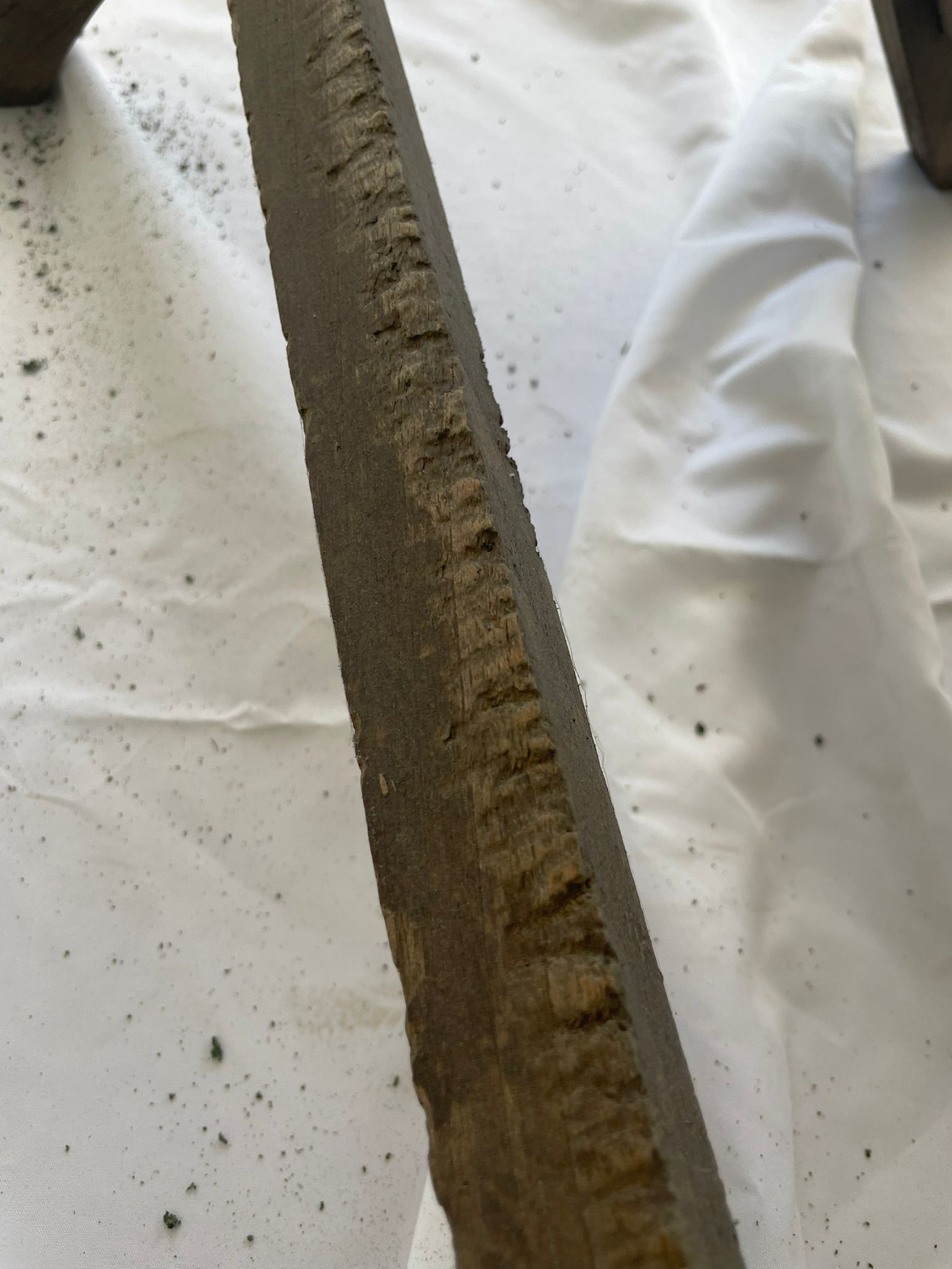 WhatsApp Image 2022 05 11 at 1.21.48 PM