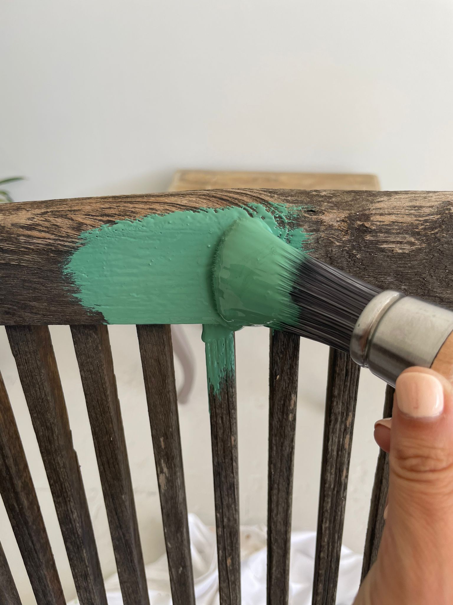 WhatsApp Image 2022 05 11 at 1.21.56 PM