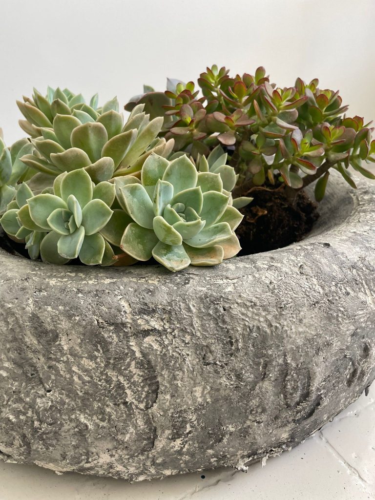 Reciclar neumáticos para decorar el jardín 2 WhatsApp Image 2022 06 06 at 11.57.45 AM