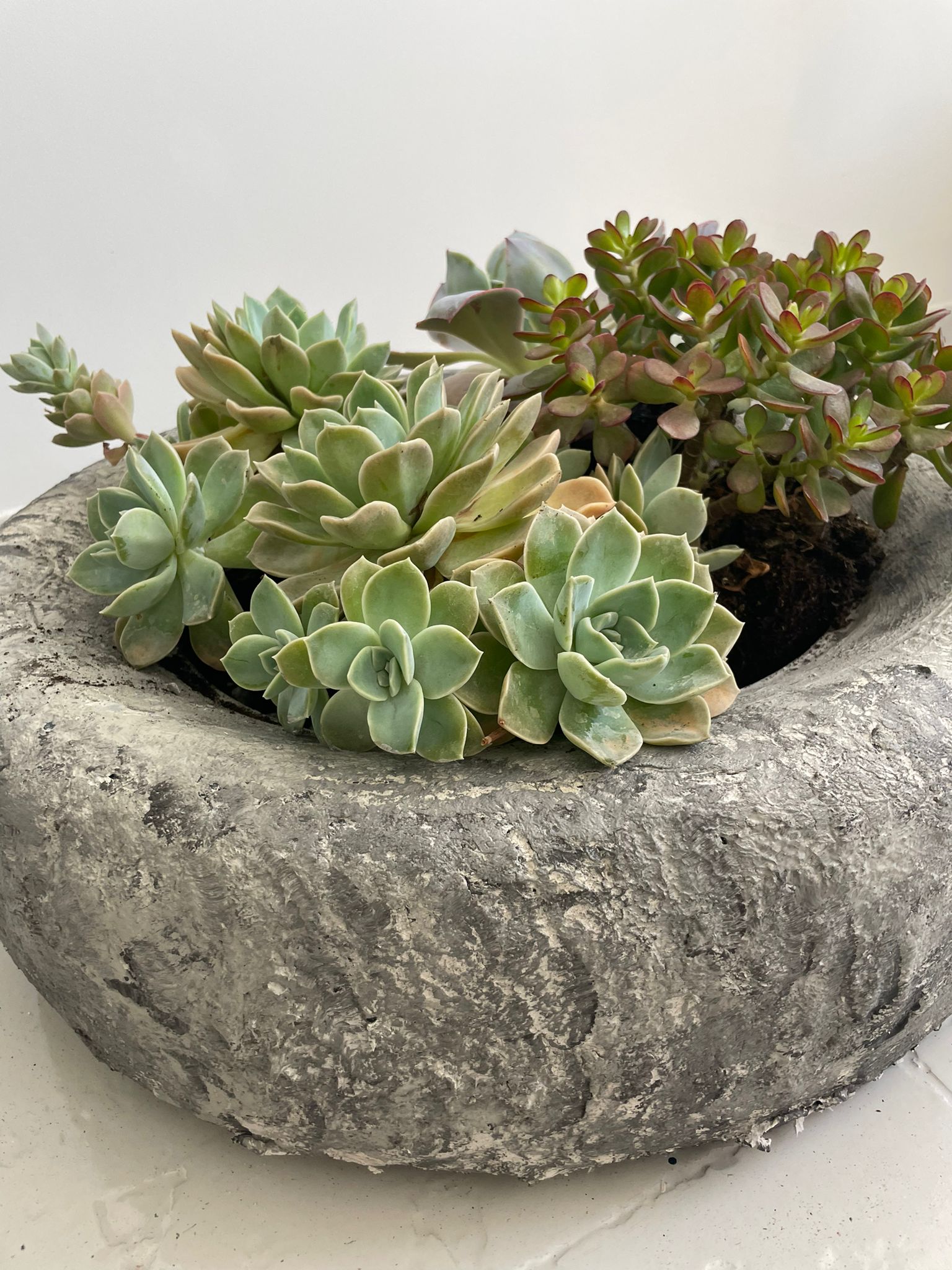 Reciclar neumáticos para decorar el jardín 25 WhatsApp Image 2022 06 06 at 11.57.47 AM