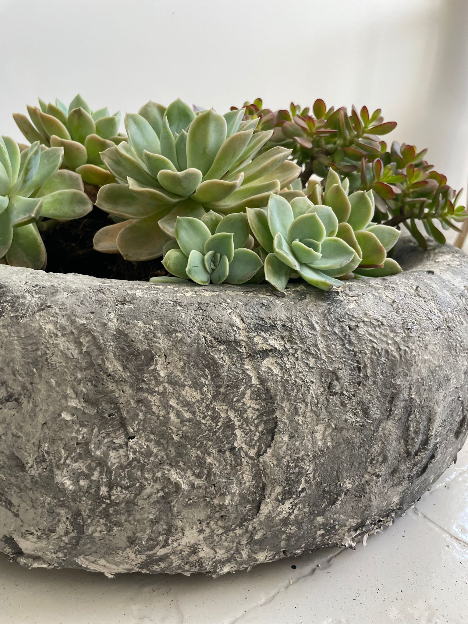 Reciclar neumáticos para decorar el jardín 24 WhatsApp Image 2022 06 06 at 11.57.48 AM