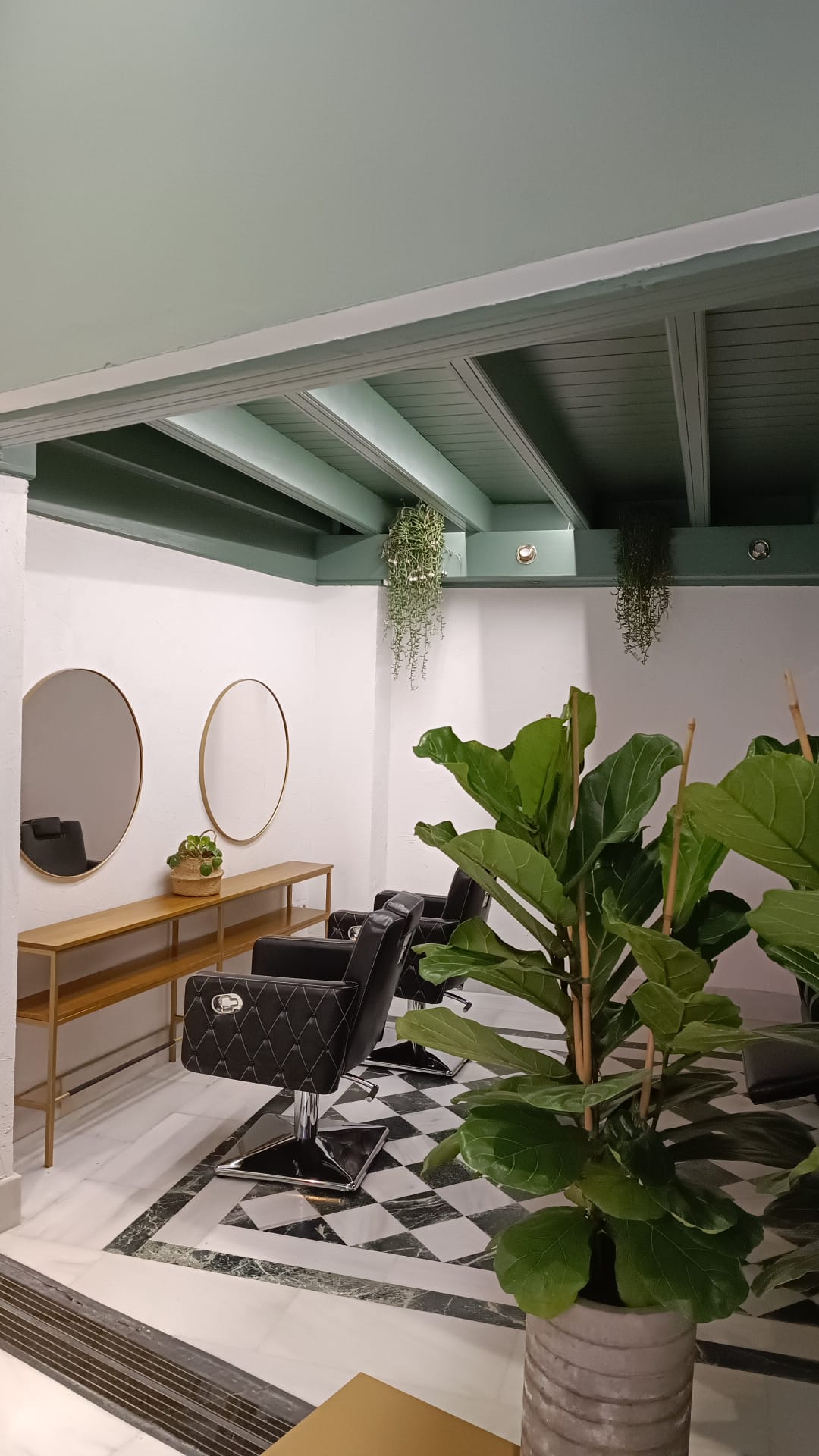 Pintura Pared Matte Wall Humo Verde 2 Pintura Pared Matte Wall Humo Verde - Imagen 2