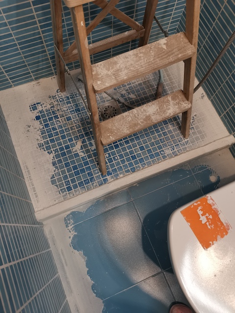 Cómo pintar tu bañera paso a paso 13 Suelo de baño de gresite antes de pintar