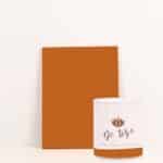 Pintura Strong Encimeras Cúrcuma