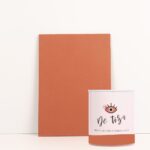 Pintura Pared Matte Wall Librería Roja