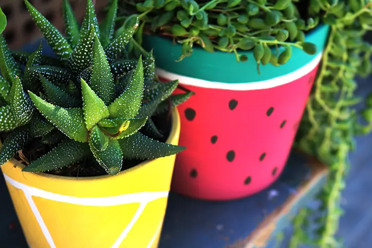 Ideas para decorar la terraza 31 macetas renovadas con chalk paint diy tutorial 2 1ok