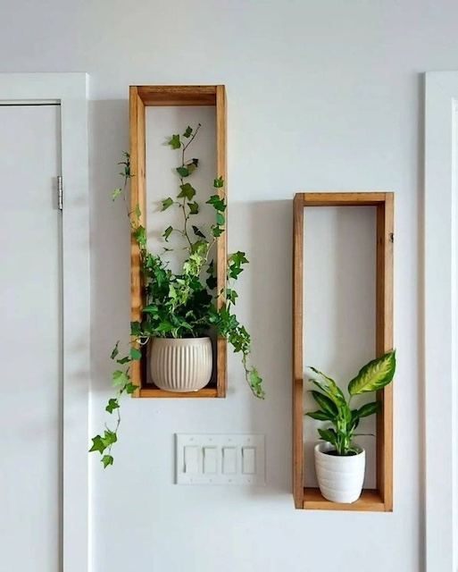 Ideas de recibidor: plantas sobre soporte de madera