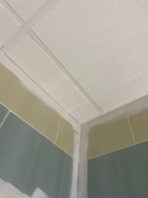 Cómo pintar azulejos de baño. 11 recorte pared azulejos