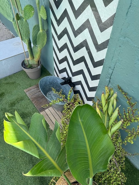 Parede de exterior pintada con plantas