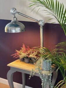 Regala experiencias con pintura. 11 resultado 1 1