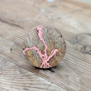 Pack de 2 tiradores Rosa Fractal