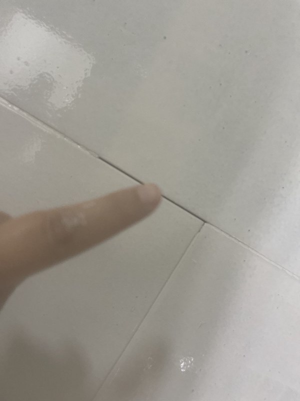 Cómo pintar azulejos de baño. 12 s juntas